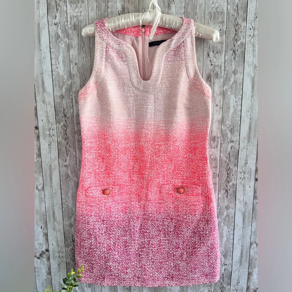 Cynthia Steffe Pink Ombré Dress Size 4